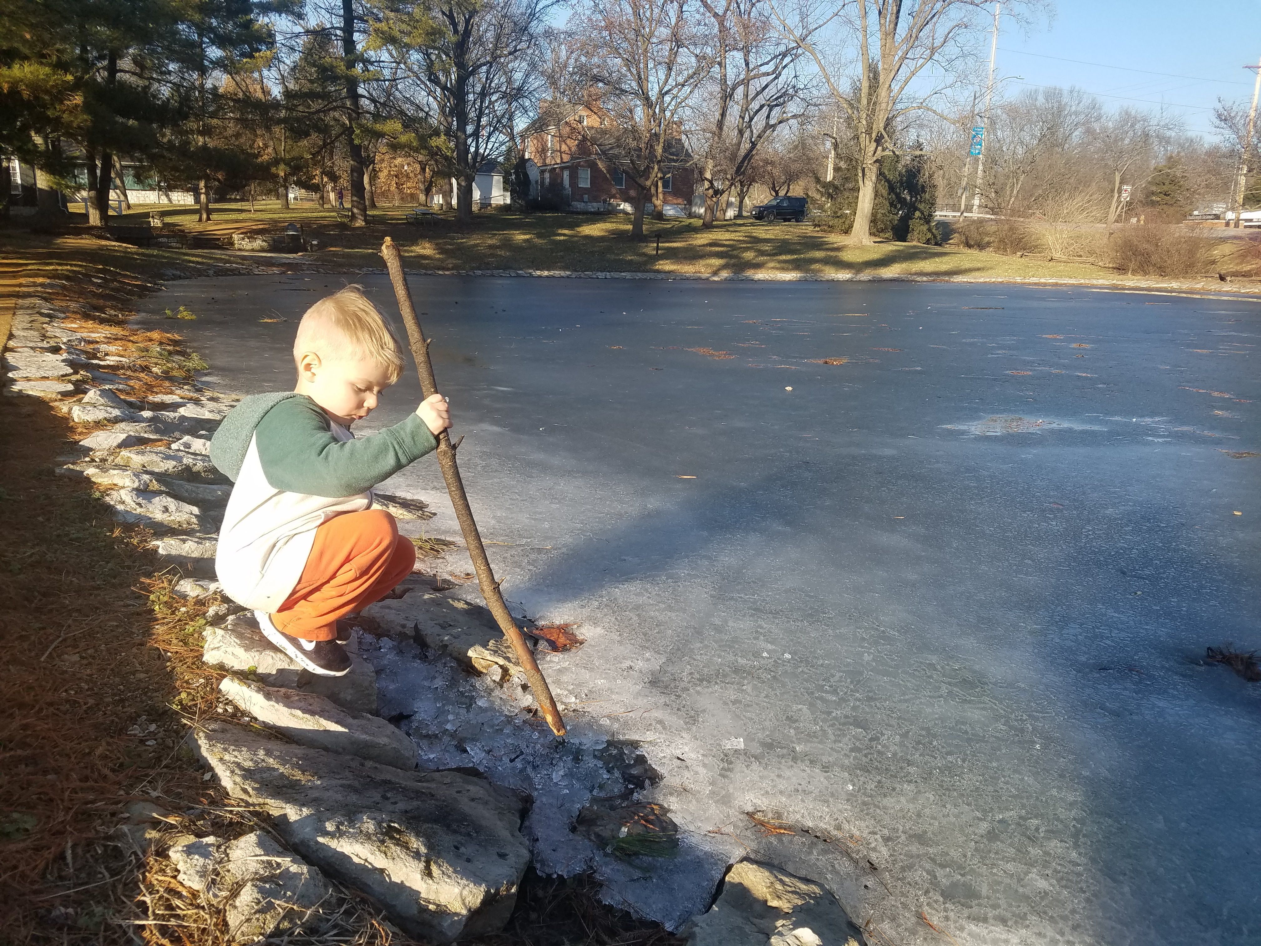 Frozen Pond