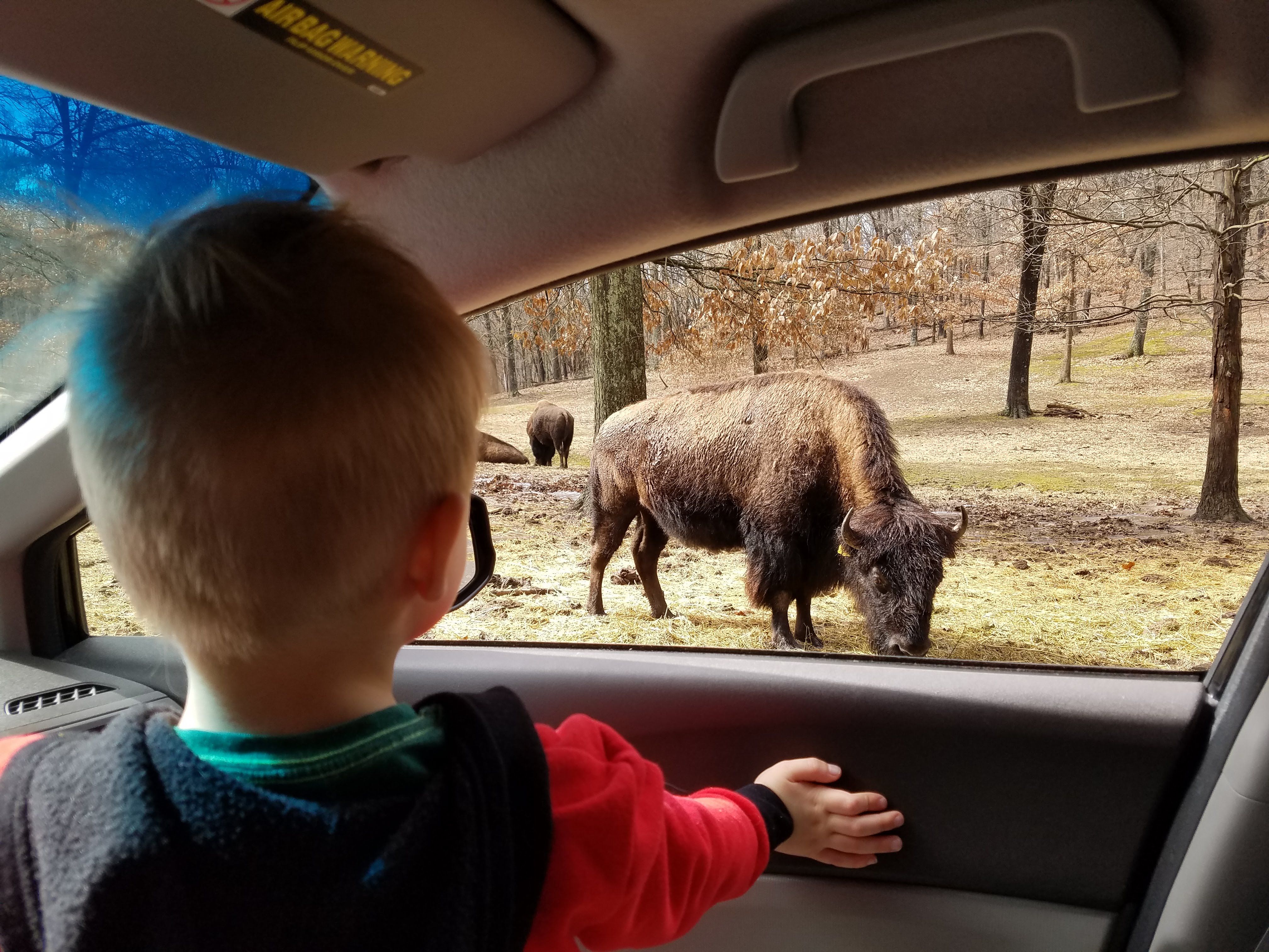 Lone Elk Park