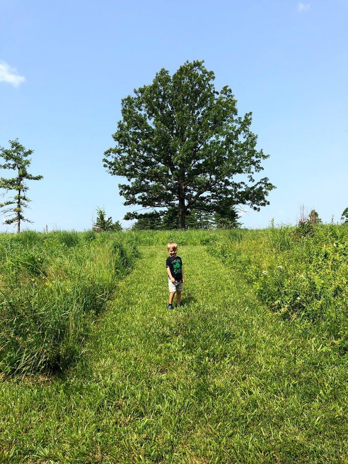 Shaw Nature Reserve