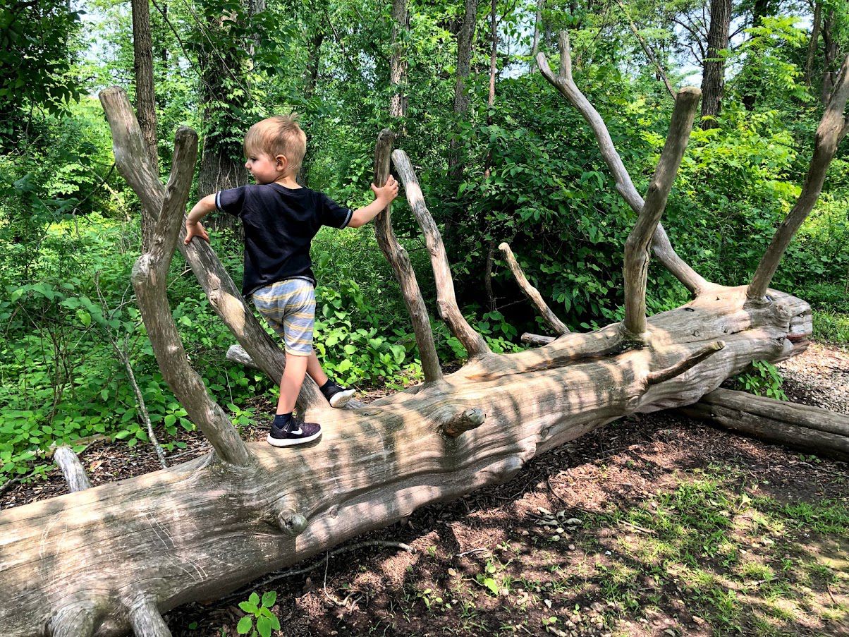 Shaw Nature Reserve