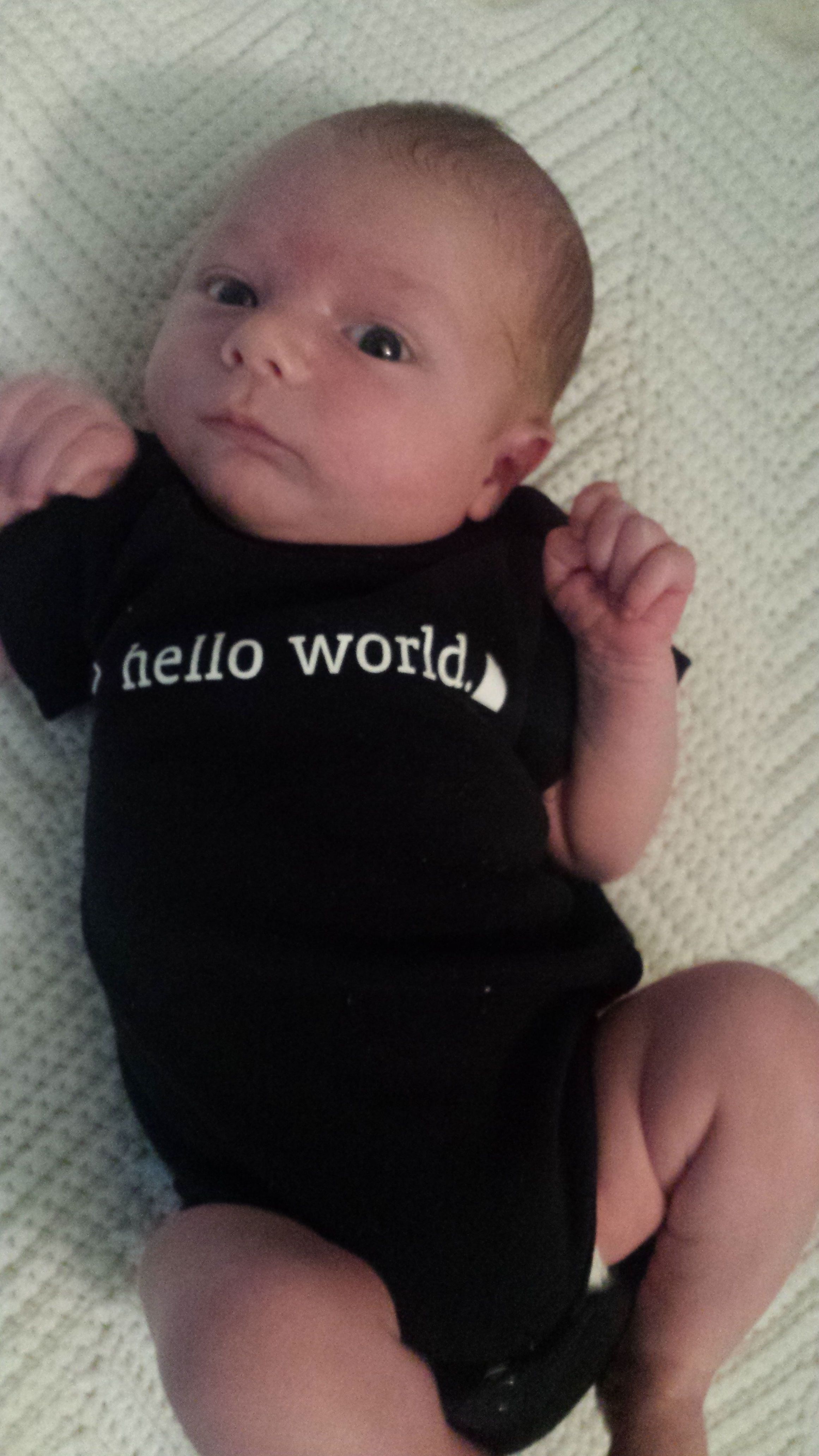Little Developer